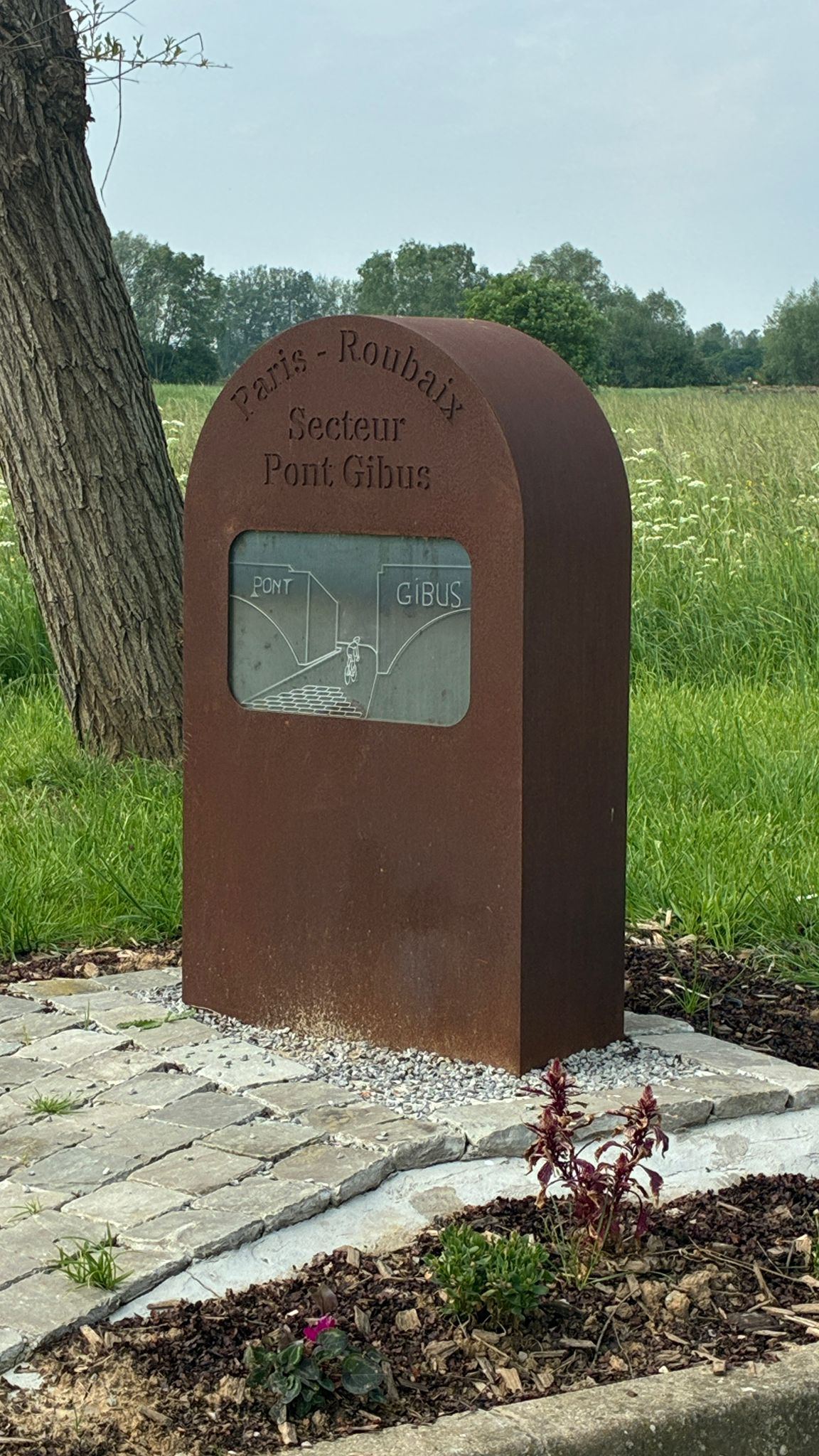 roubaix4